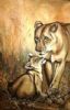 "Lioness with Cub"