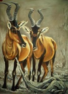 "Red Hartebeest"