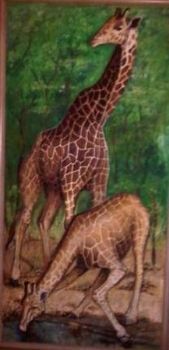 "Giraffes at Water Hole"