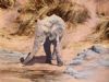 "Elephant"