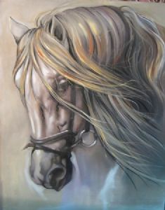 "Horse Rosella"