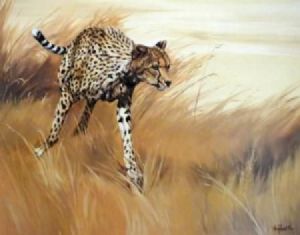 "Cheetah"