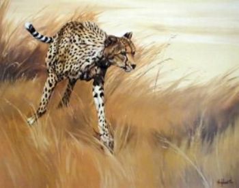 "Cheetah"