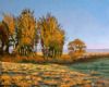 "Morning Glow"