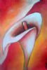 "Arum 2"