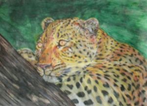 "Leopard"