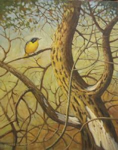 "Robin-Chat Taking a Breather"