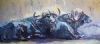 "Buffalo at Rest"