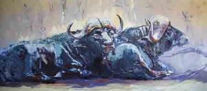 "Buffalo at Rest"
