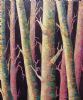 "Trees With a Hint of Pollock"