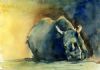 "Sitting Rhino"