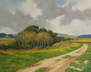 "Vineyards on Banks of Eerste River Stellenbosch"