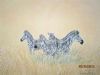 "Stance Giclee Print"