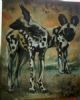 "Painted Dogs"