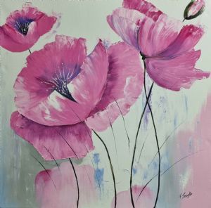 "Pink Poppy Flowers"