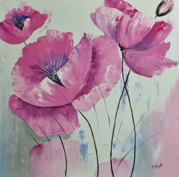 "Pink Poppy Flowers"