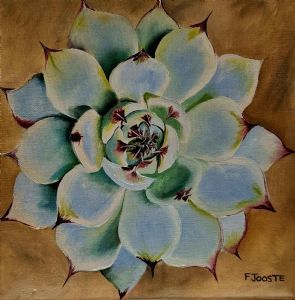 "succulent"