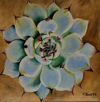 "Succulent"