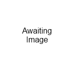 Sitting Woman
