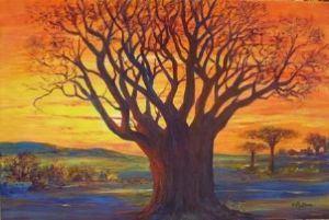 "Baobab Sunset"