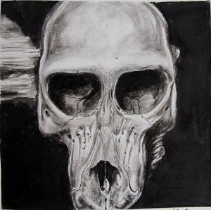 "Juvenile Baboon Skull 5"