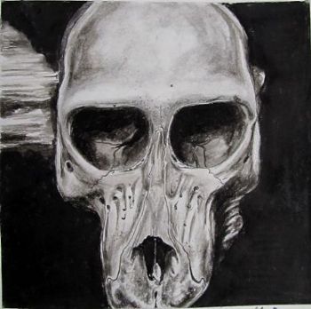 "Juvenile Baboon Skull 5"