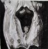 "Juvenile Baboon Skull 6"