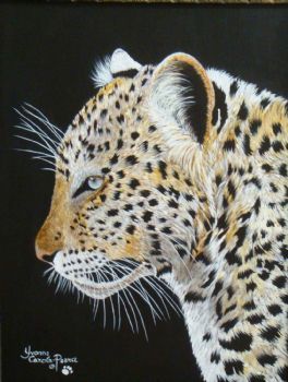 "Leopard Head"