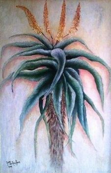 "Aloe in the Mist"