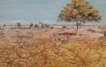 "Etosha Under The Leadwood Tree"