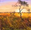"Kalahari Grasslands at Sunset"