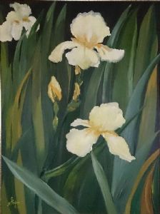 "Irises From My Garden"