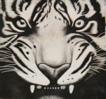 "Tiger"