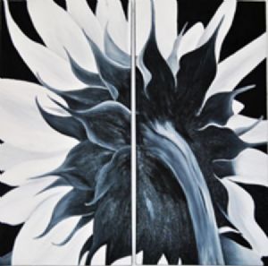 "Tracking the Sun"