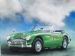 Austin Healey