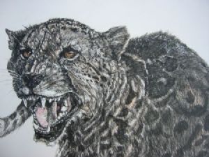 "Tinted, Snarling Cheetah"