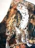 "Cheetah"