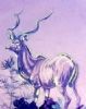 "Kudu"