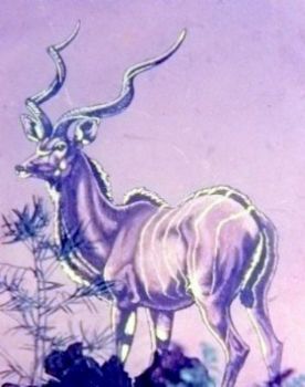 "Kudu"