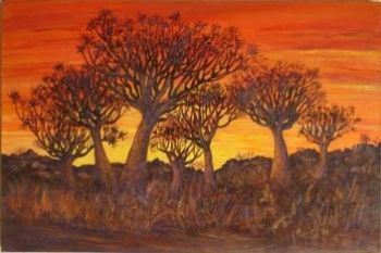 "Quiver Trees Namibia"