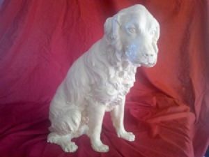 "Cocker Spaniel"