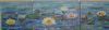 "Okavango Lilies Triptych"