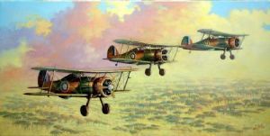 "SAAF Gloster Gladiators"