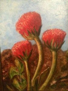"South African Flora"