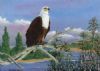 "Fish Eagle"