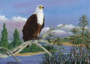 "Fish Eagle"