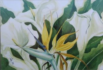 "Strelitzia and Lilies"