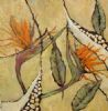"Strelitzias II"