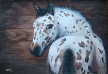 "Knabstrupper Foal"