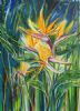 "Birds of Paradise"